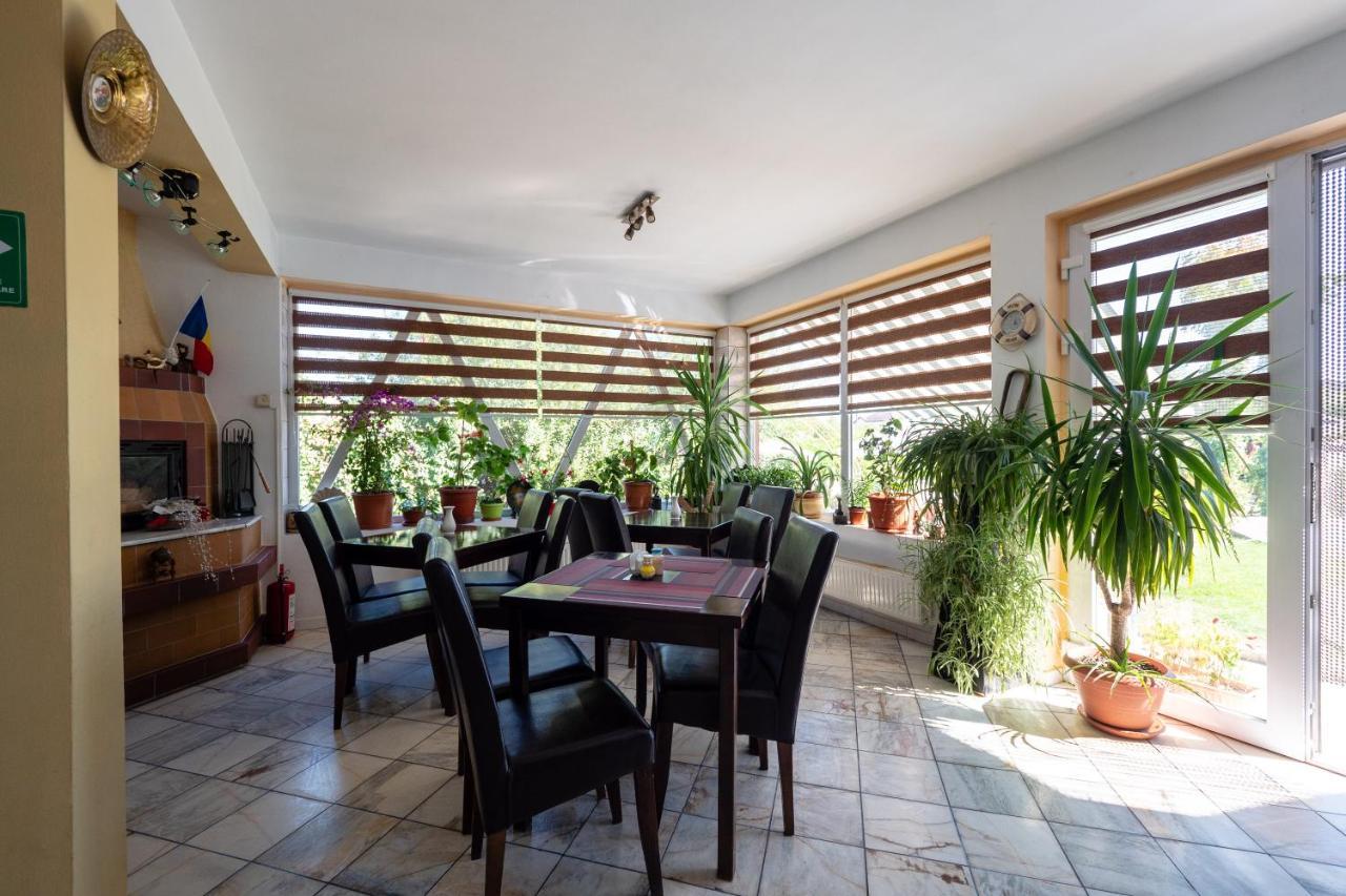 Pension Motanul Galanton Snagov Exterior foto